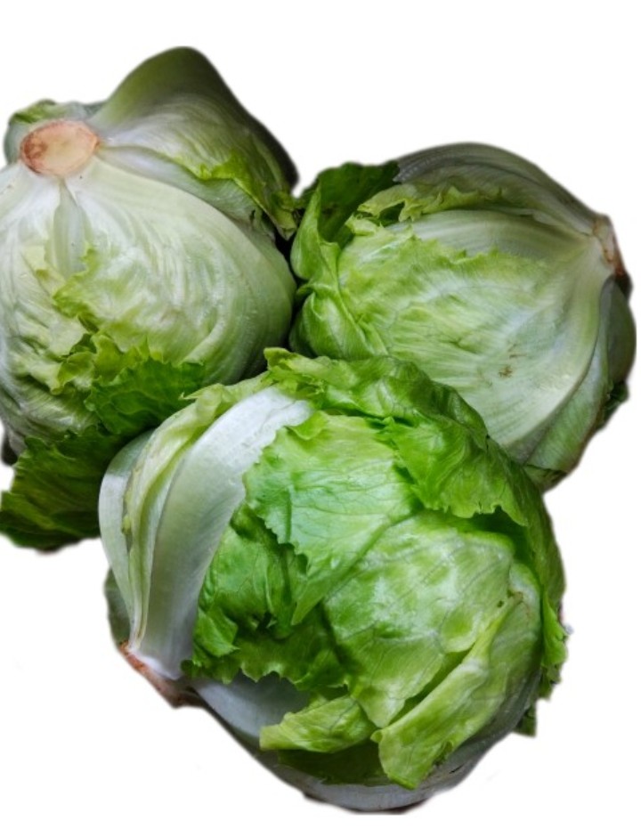 Xà lách mỹ